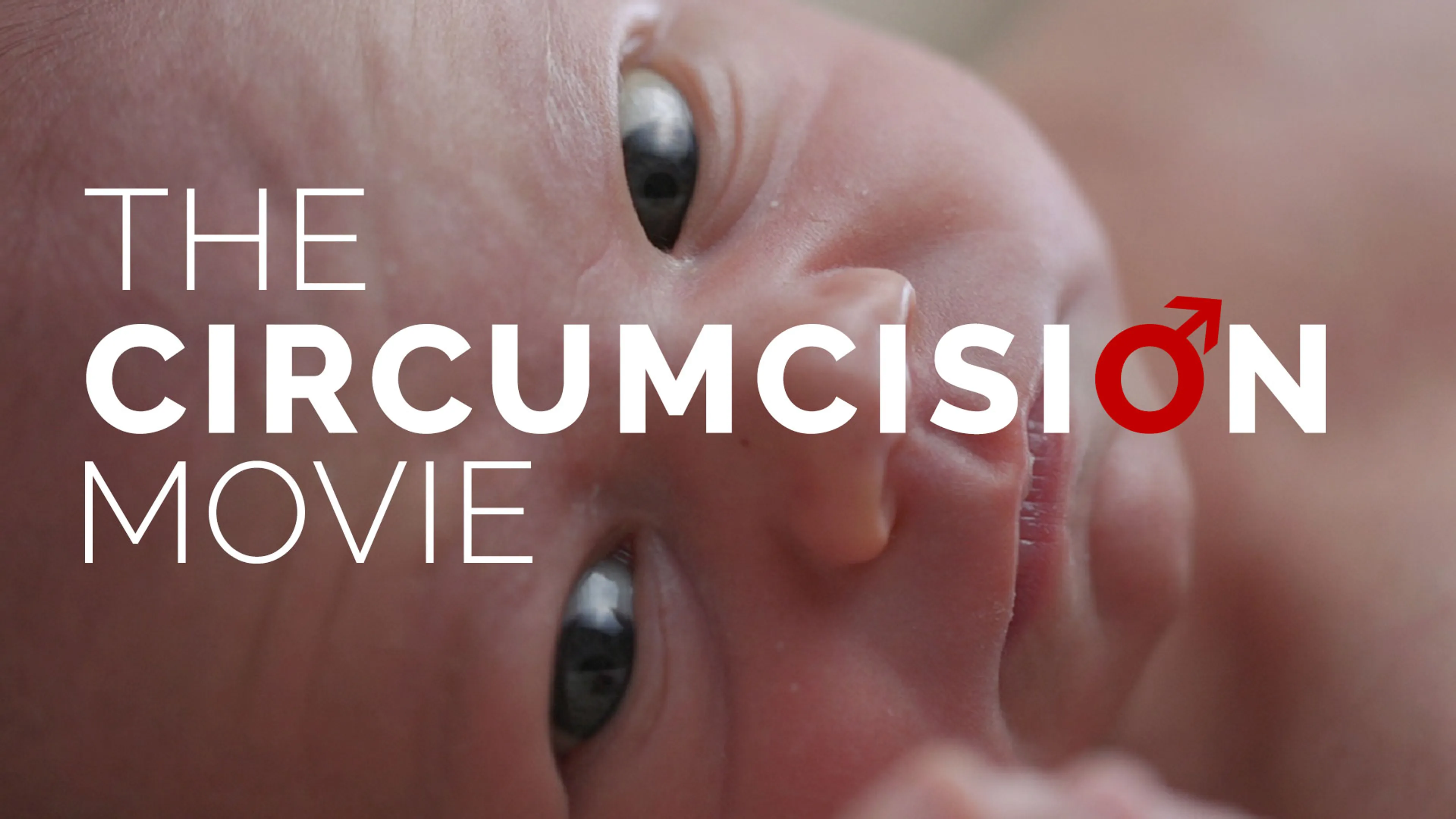 The Circumcision Movie poster